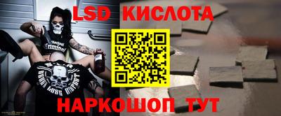 прущие грибы Кунгур